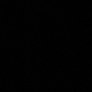 Meet your Posher, Sammie